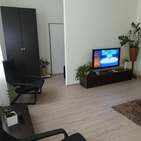 Apartman Marenka Nove Mesto na Morave Zewnętrze zdjęcie