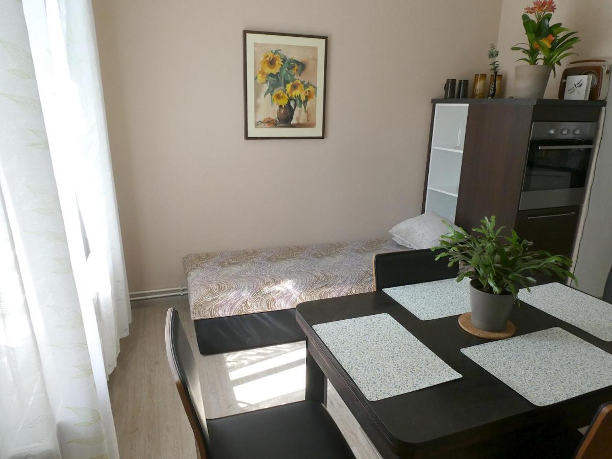Apartman Marenka Nove Mesto na Morave Zewnętrze zdjęcie