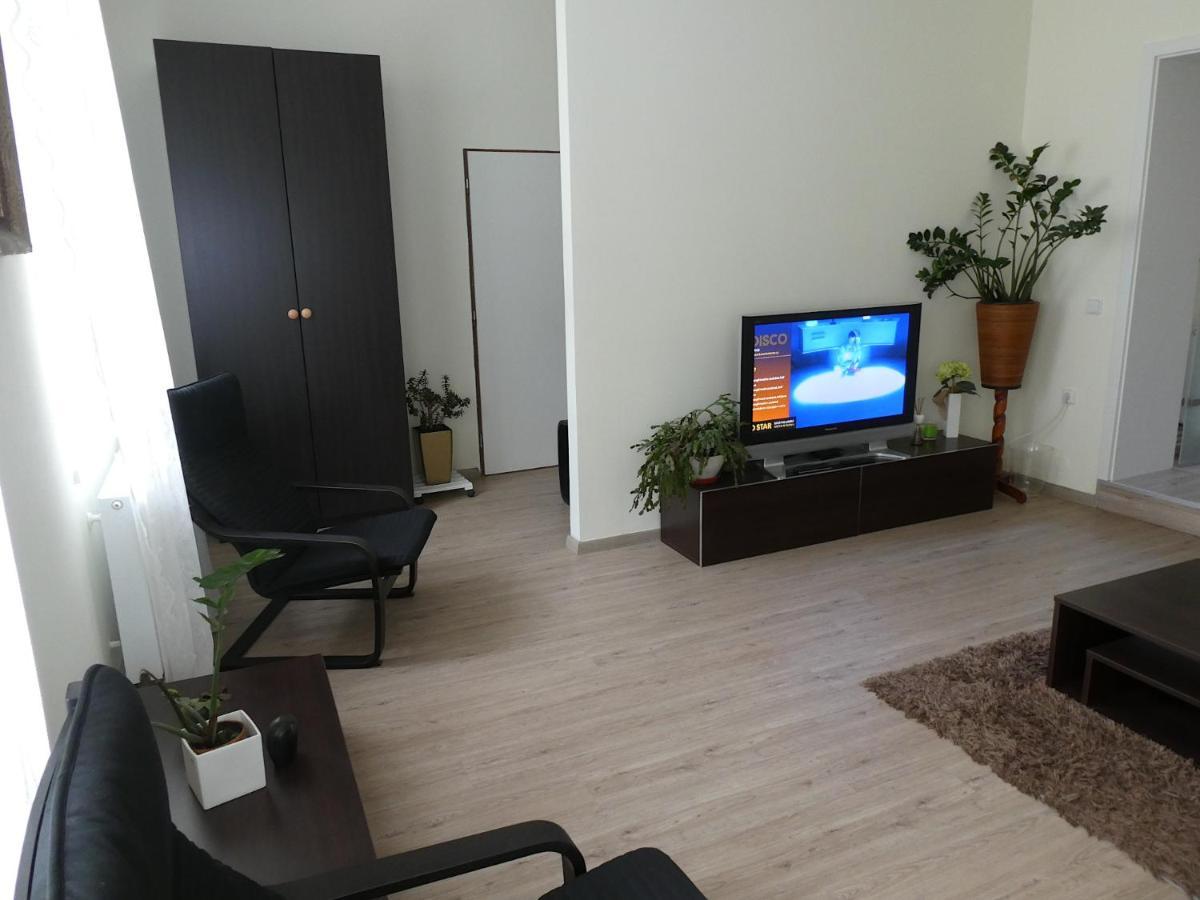 Apartman Marenka Nove Mesto na Morave Zewnętrze zdjęcie