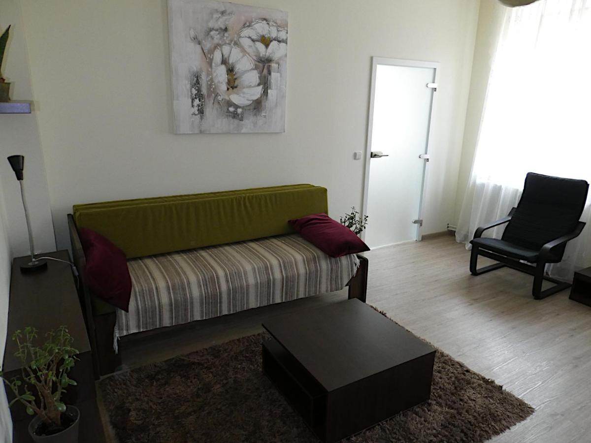 Apartman Marenka Nove Mesto na Morave Zewnętrze zdjęcie