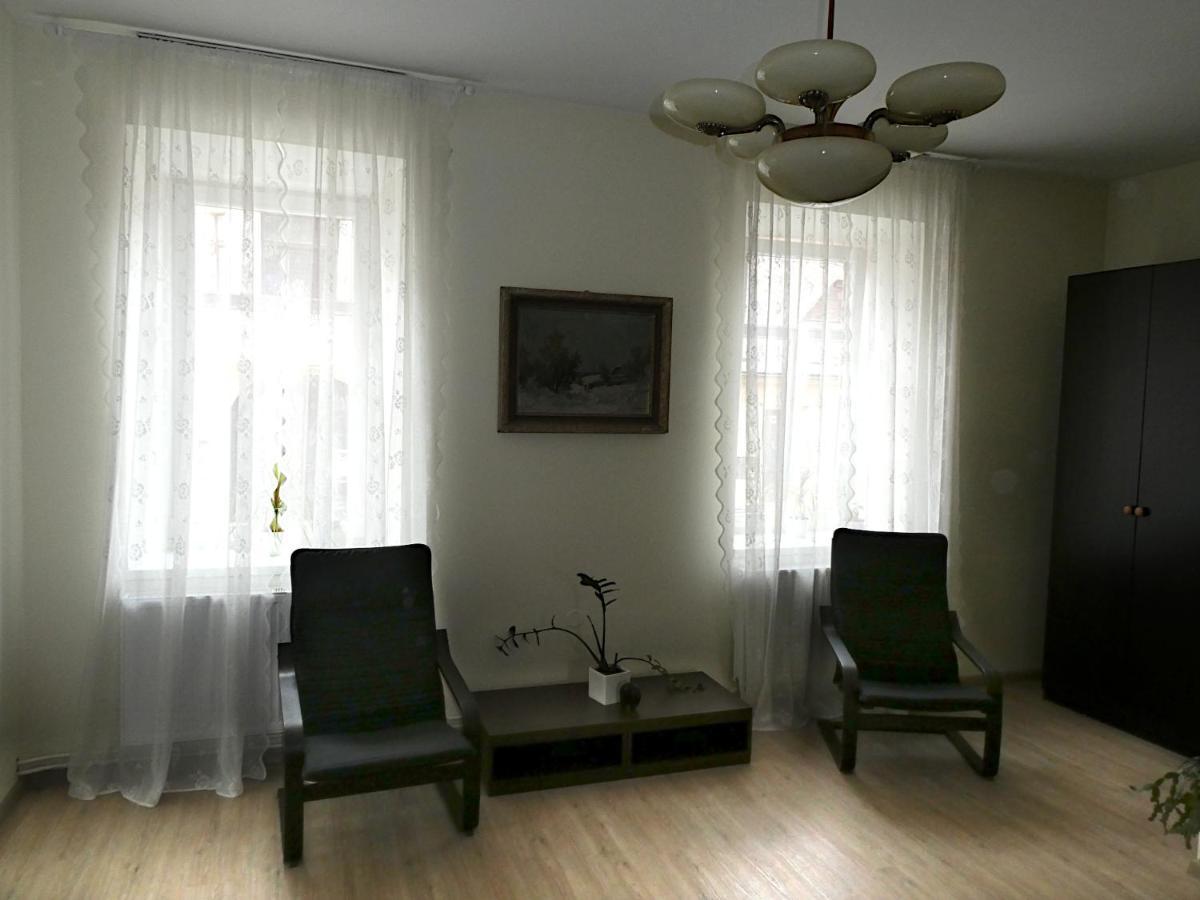 Apartman Marenka Nove Mesto na Morave Zewnętrze zdjęcie